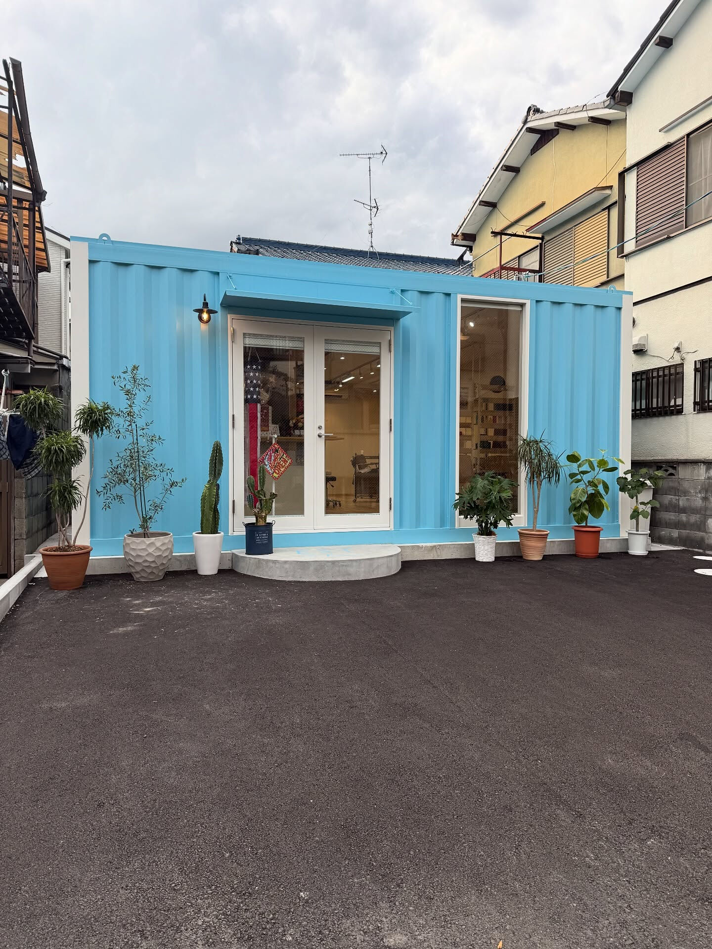 先日の午後に少し空き時間があったのでいただいた観葉植物の鉢の