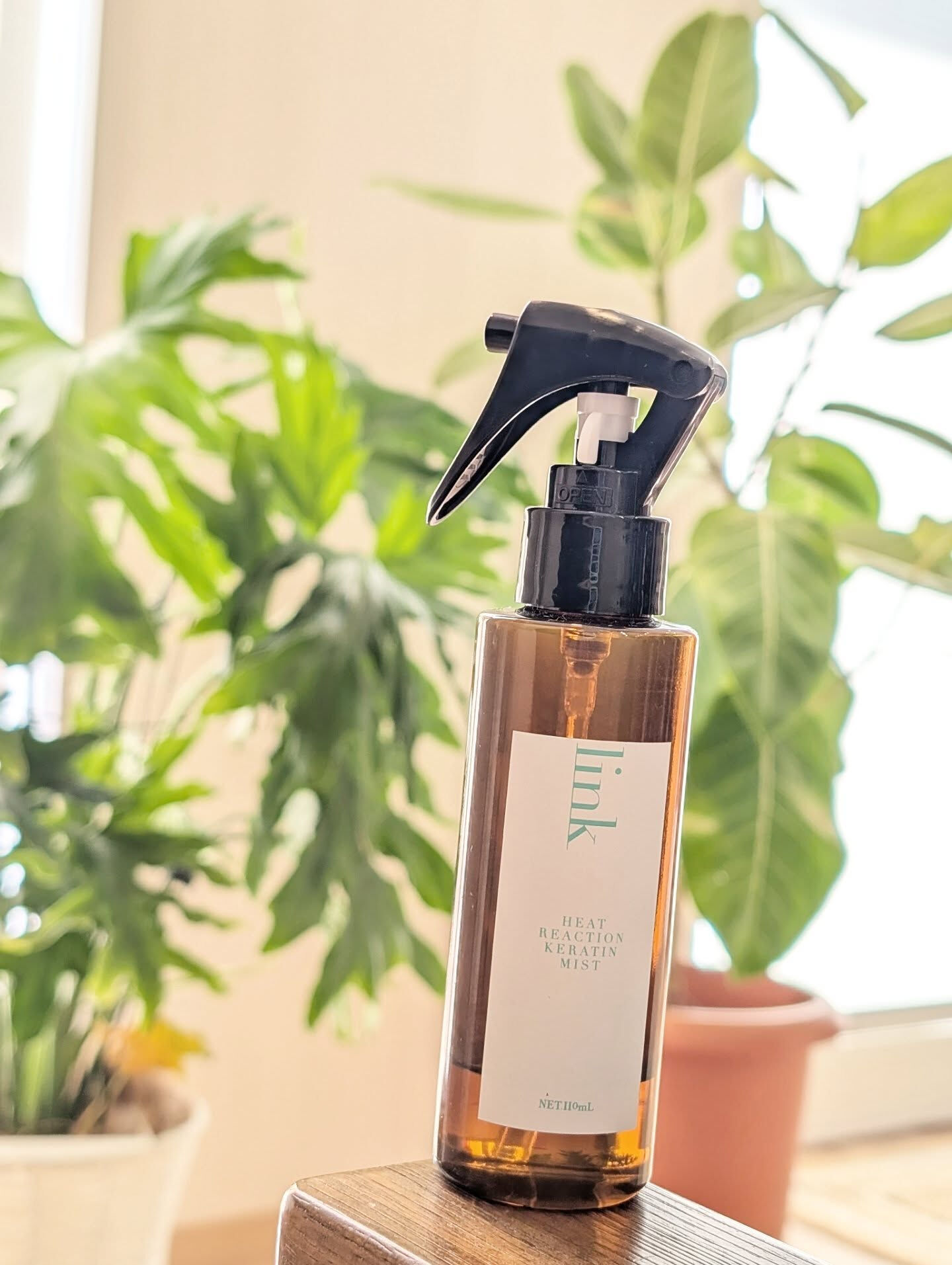 【人気商品のご紹介🌿】